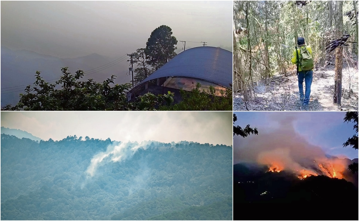 Apagón afecta a 16 municipios de Chiapas este sábado 11 de mayo