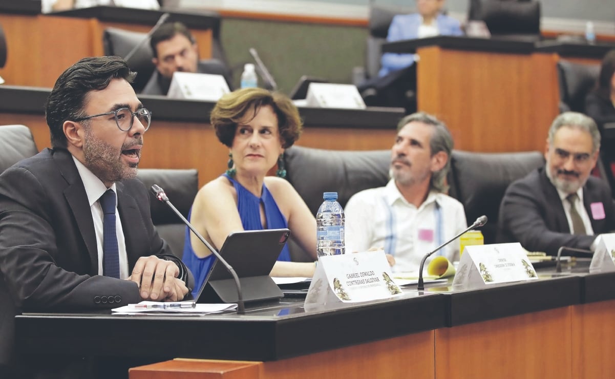 Rosario Piedra asegura que CNDH no es contrapeso de ningún poder; 