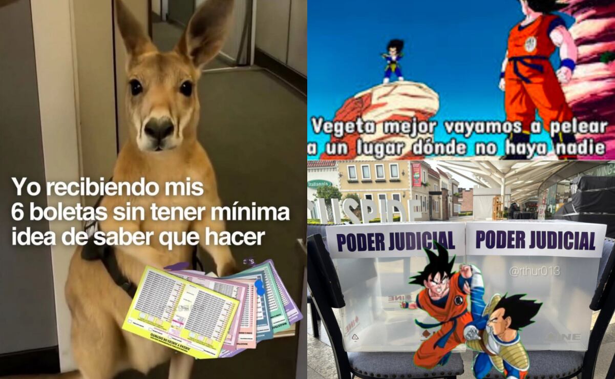 Recapturan a 
