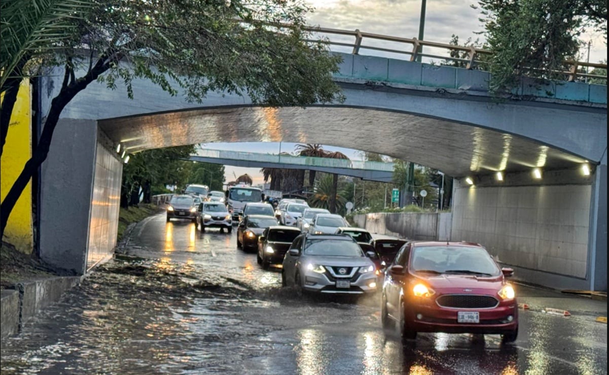 “Uno, como vendedor, también está tranquilo”