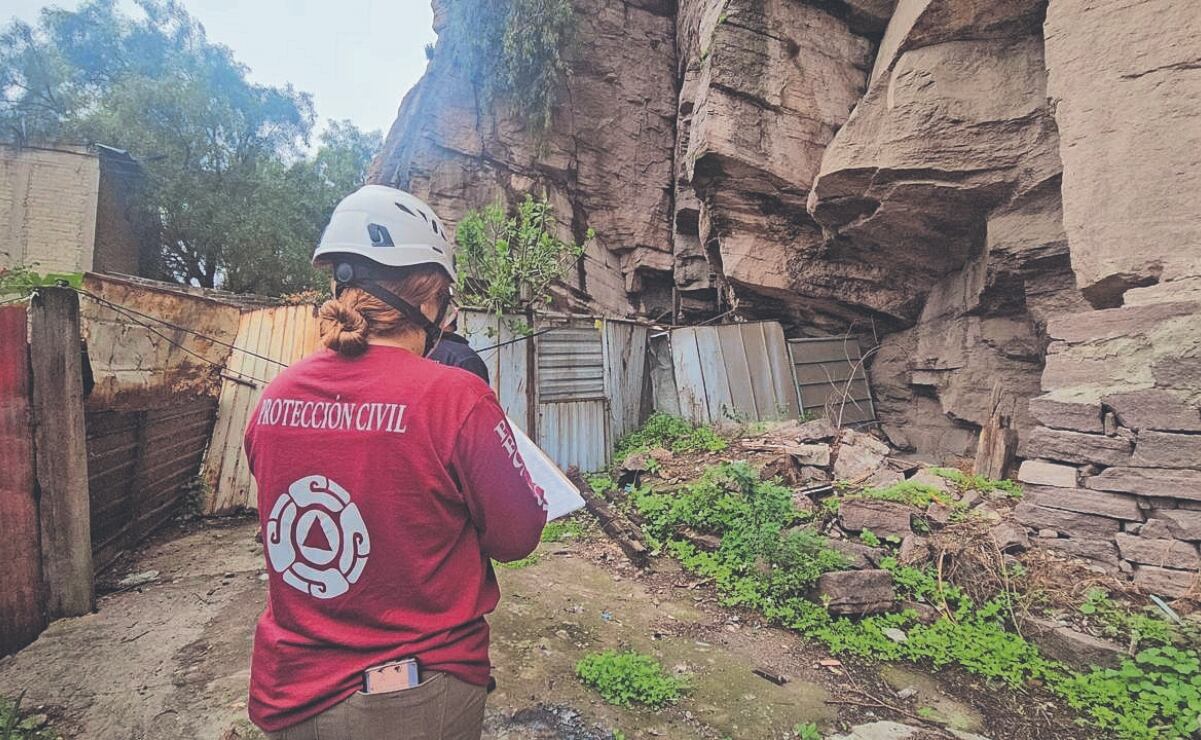 Investigan presunta perrera clandestina en Hidalgo; activistas denuncian asesinato y tortura de animales