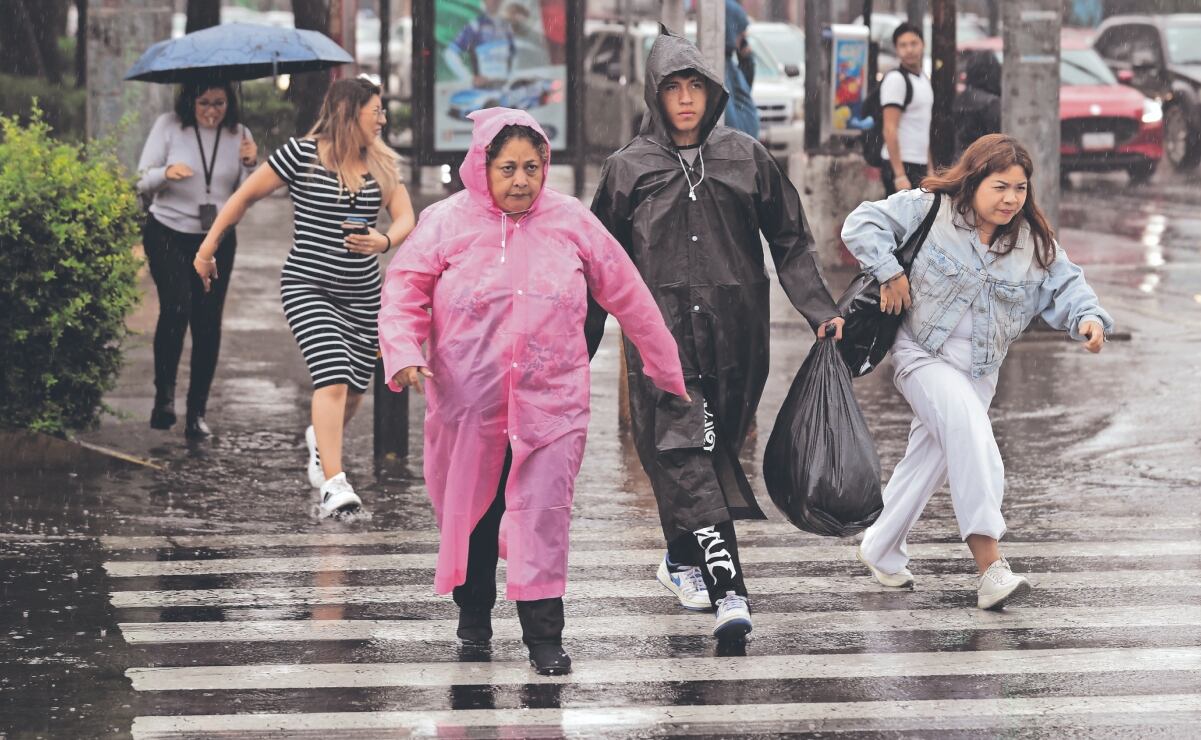 Sedema recupera 3.75 hectáreas invadidas en Santiago Zapotitlán, en alcaldía Tláhuac; retiran viviendas ilegales