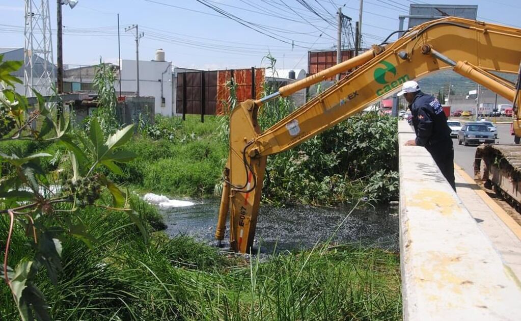Xin Xin celebra 35 años; miles festejan a la única panda gigante de Latinoamérica