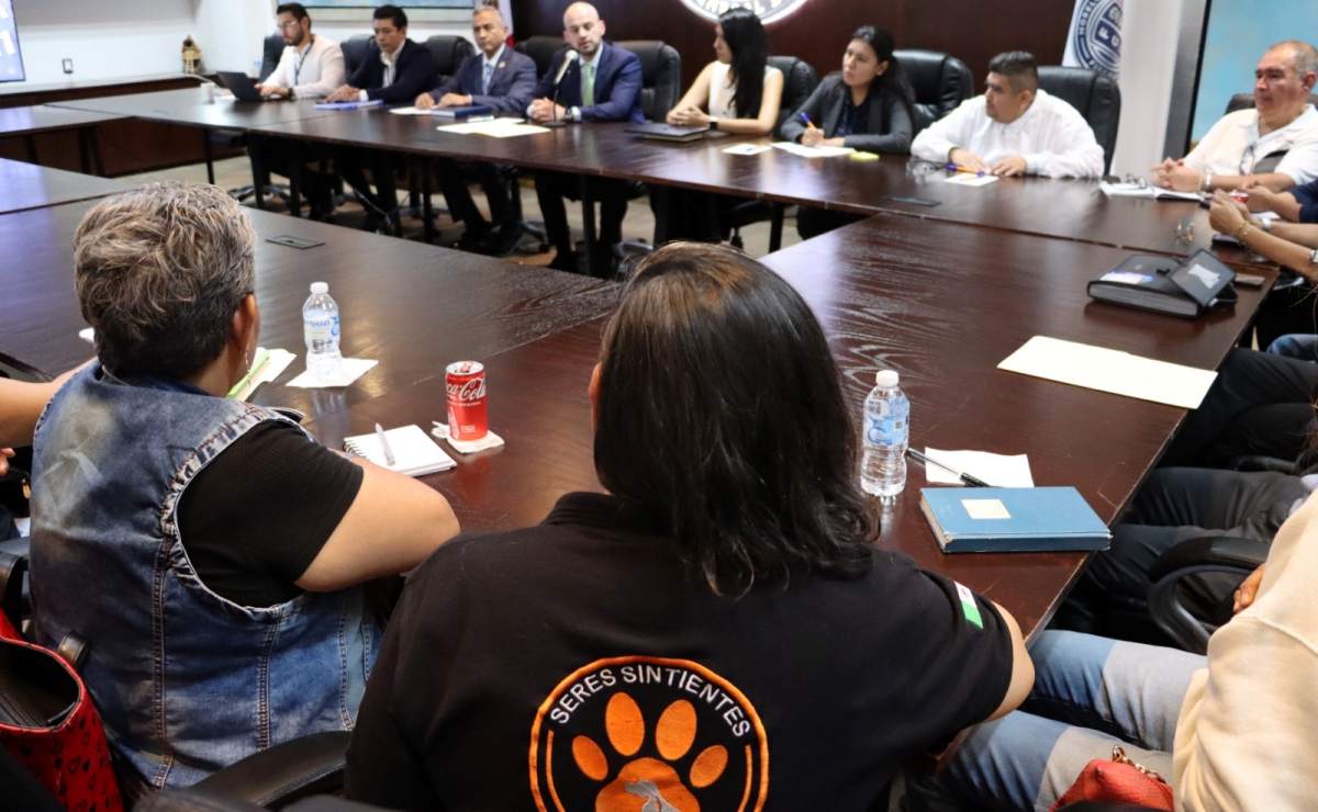 “Lluvias actuales ya no son atípicas, sino algo cotidiano en CDMX”: Clara Brugada