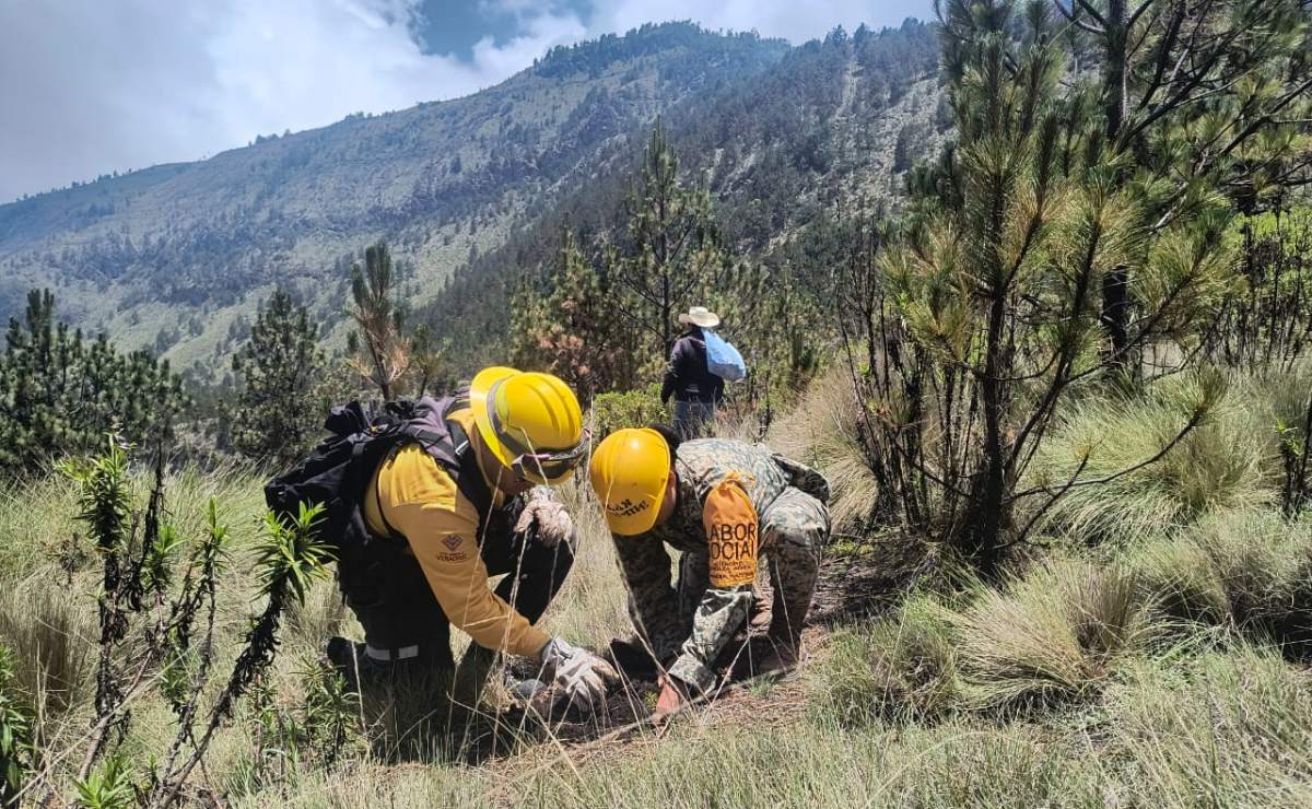 Inundaciones en Texas: Consulado de México en San Antonio identificará a connacionales que requieran asistencia