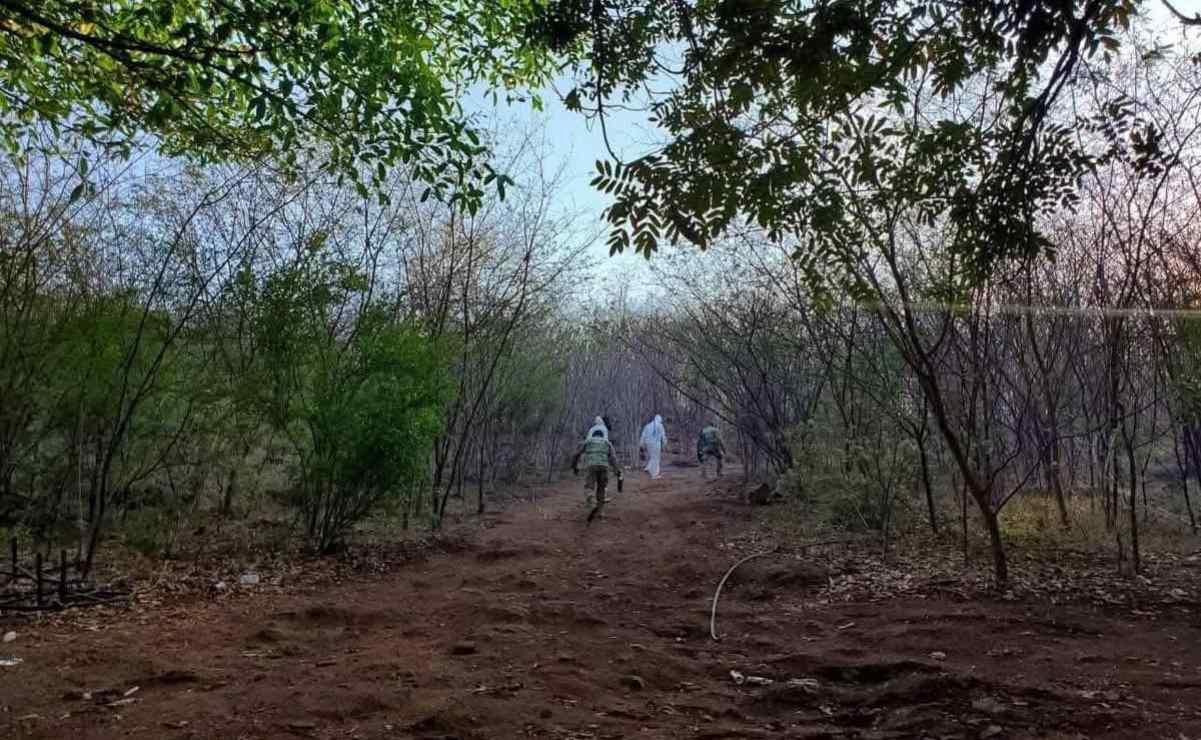 Asesinato de tres hermanitas en Sonora causa indignación; fueron halladas abrazadas y con signos de violencia, esto se sabe