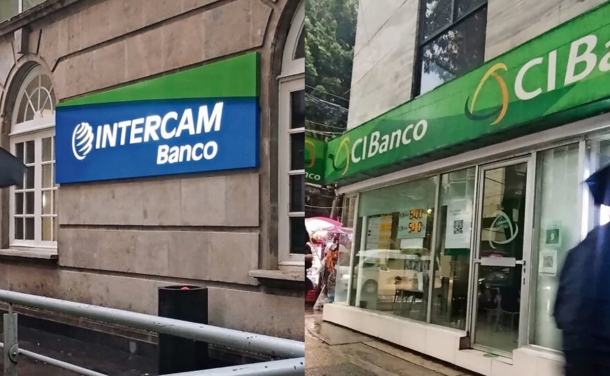 Precio del jitomate subiría hasta 10% en EU por fin de acuerdo con México; “no hay escenario para absorber esos aranceles”: productores