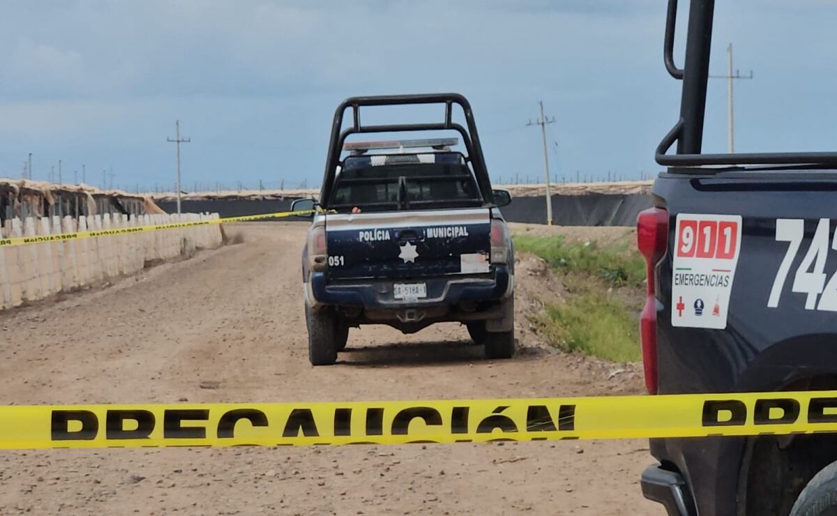 “Contar la historia de la herida para contar la historia del deseo”: Caputo sobre La frontera encantada