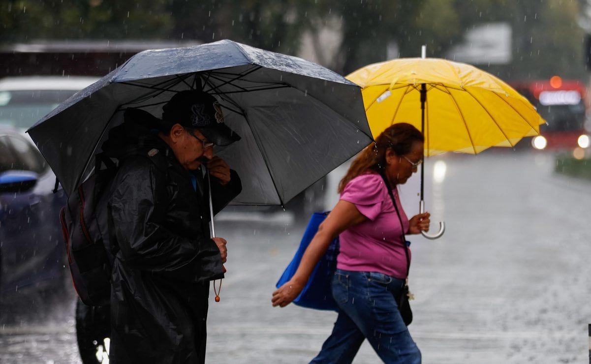 Jitomate mexicano bajo presión; EU decidirá si aplica cuota compensatoria del 17% o postergación