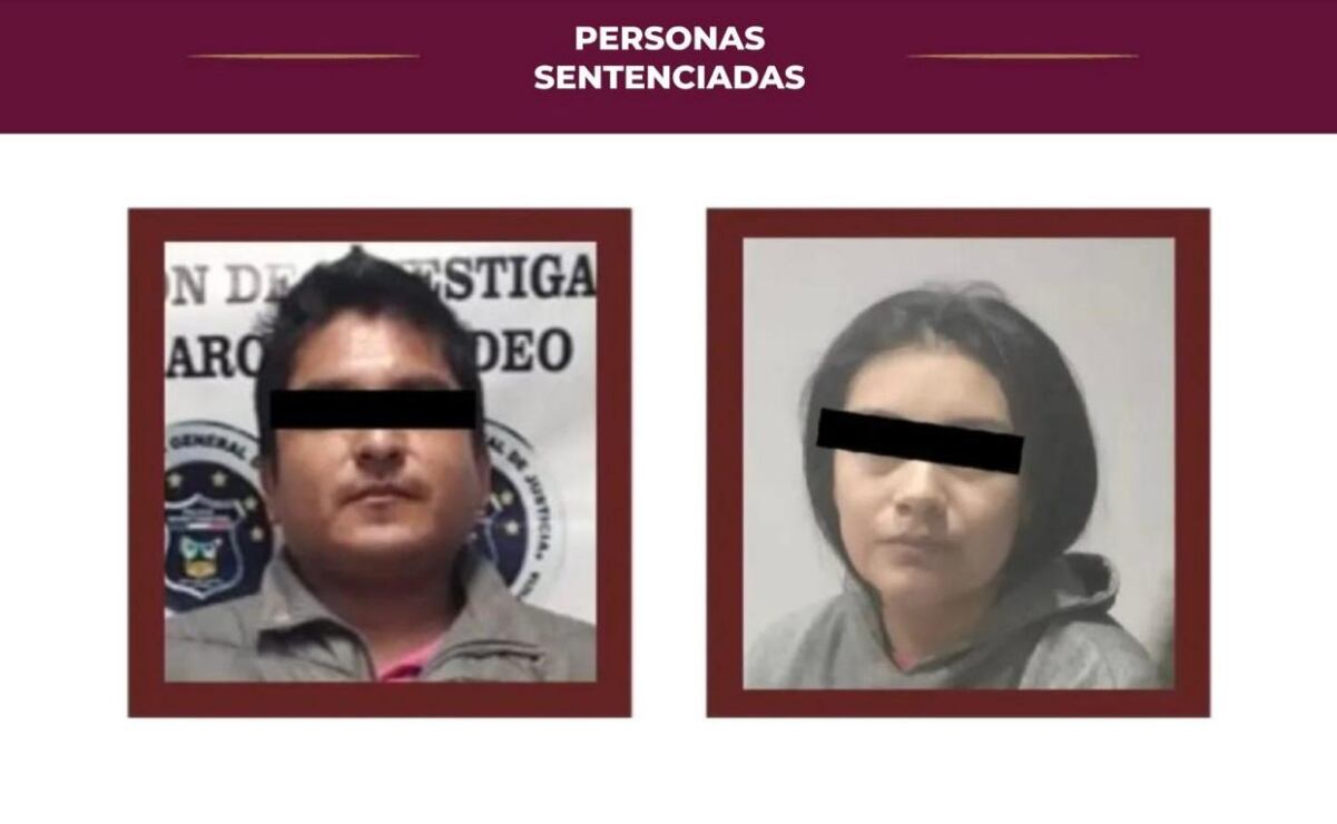 Calificaciones SEP 2025: ¿Cómo descargar en línea el certificado de primaria o secundaria?; guía paso a paso