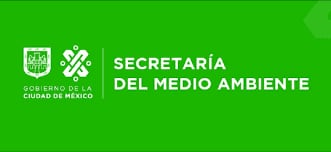 Retiro de escueltura del 