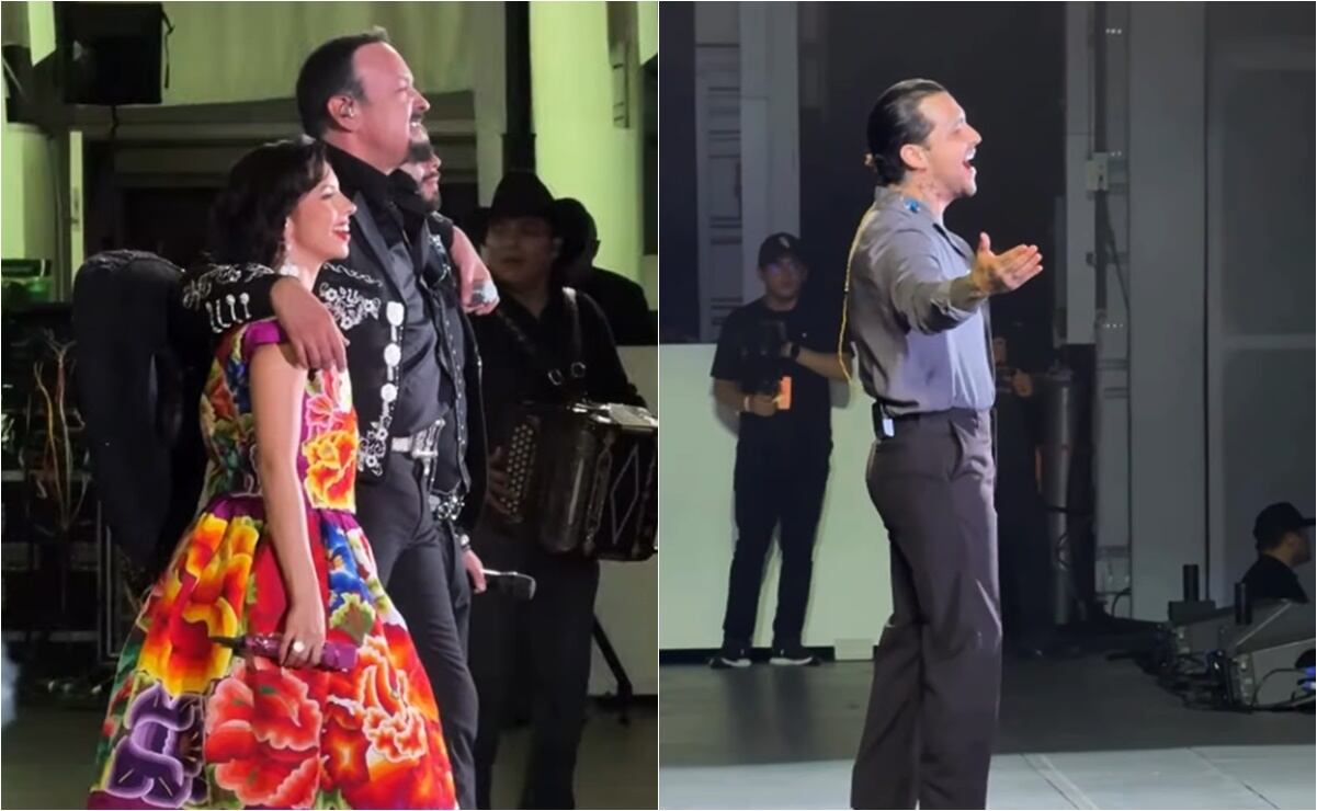 Cómo escoger un buen mango