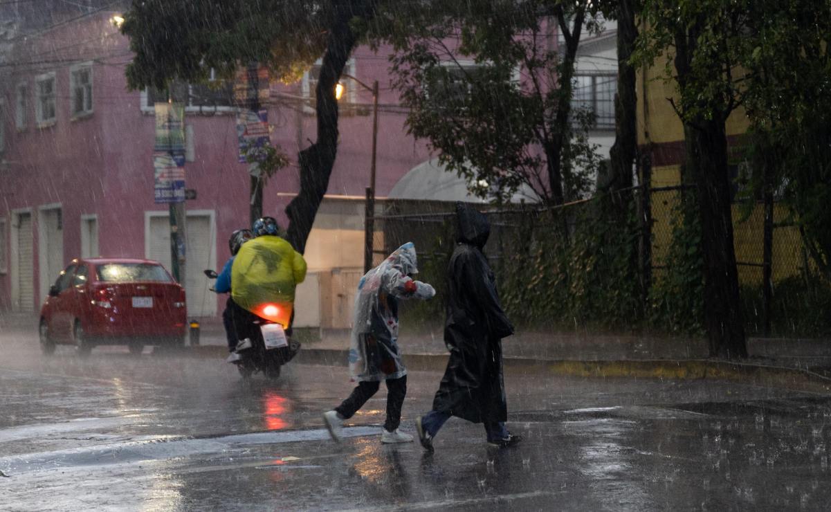 A la caza de los precios bajos en regreso a clases
