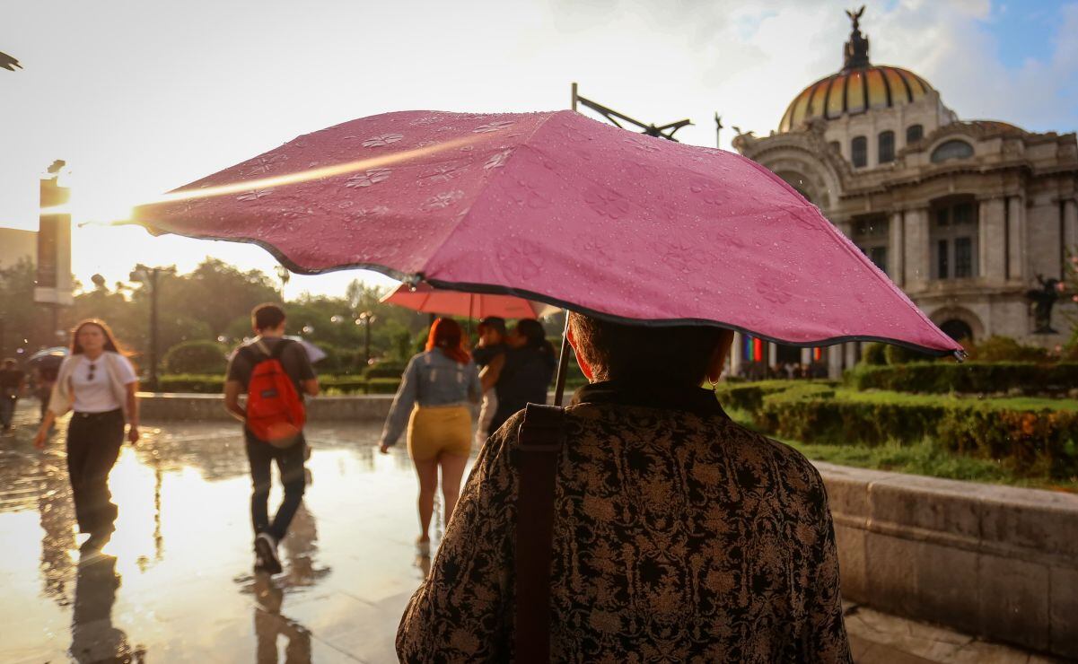 Buenos Aires y CDMX a través de 13 cuentos de Marina Porcelli 