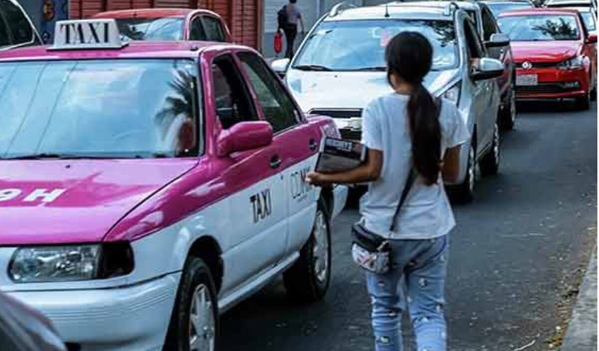 Pobladores bloquean carretera Panamericana en Oaxaca; exigen liberación de dos cerdos detenidos “por ensuciar la calle”