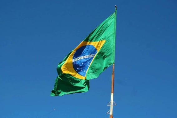Frenan envío a EU de 