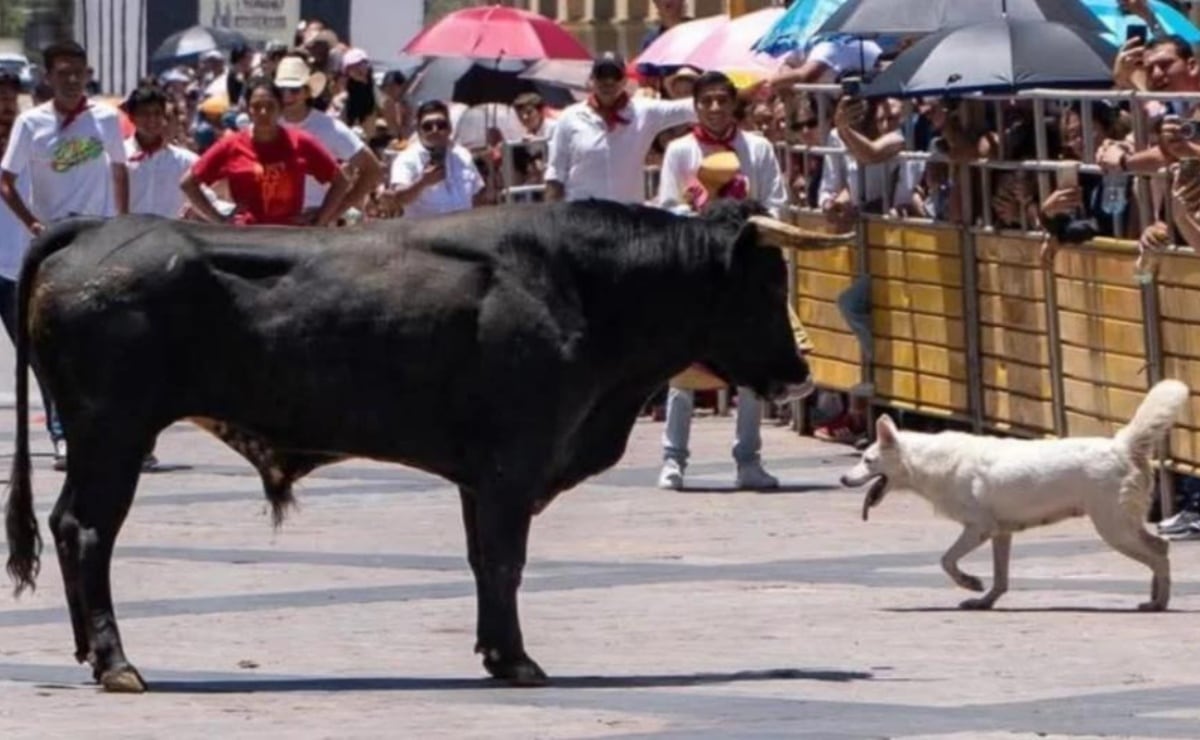 Huracán Lorena: Secretaría del Bienestar suspende actividades en BCS y Sonora; los trámites continuarán una vez que pase el ciclón