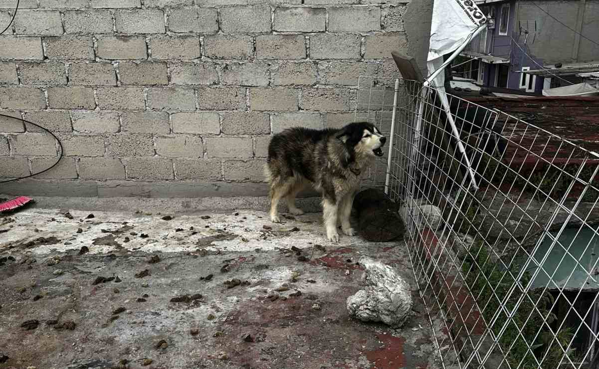 Desmantelan narcolaboratorio ligado a un cártel mexicano en Polonia; caen dos connacionales con cientos de metanfetamina