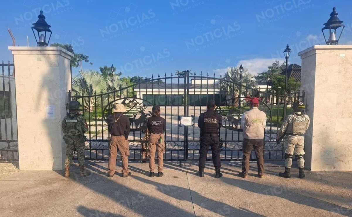 Michelle Renaud y Matías Novoa anuncian que esperan su segundo hijo en común: 