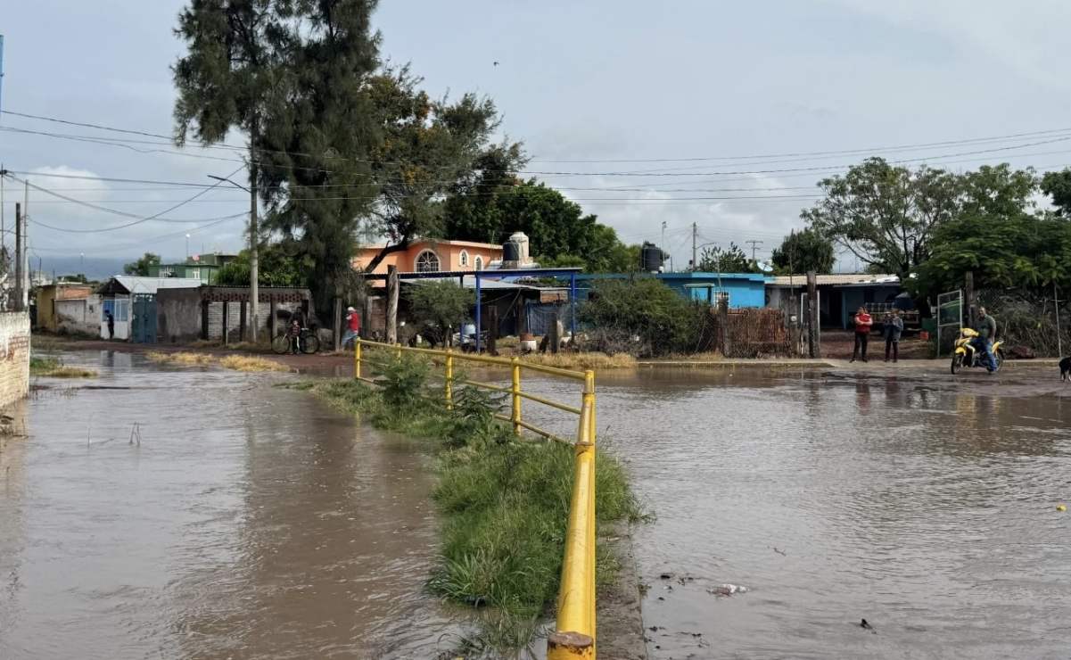 EU verifica medidas contra gusano barrenador en Chihuahua y Sonora; acciones buscan reabrir fronteras al ganado mexicano