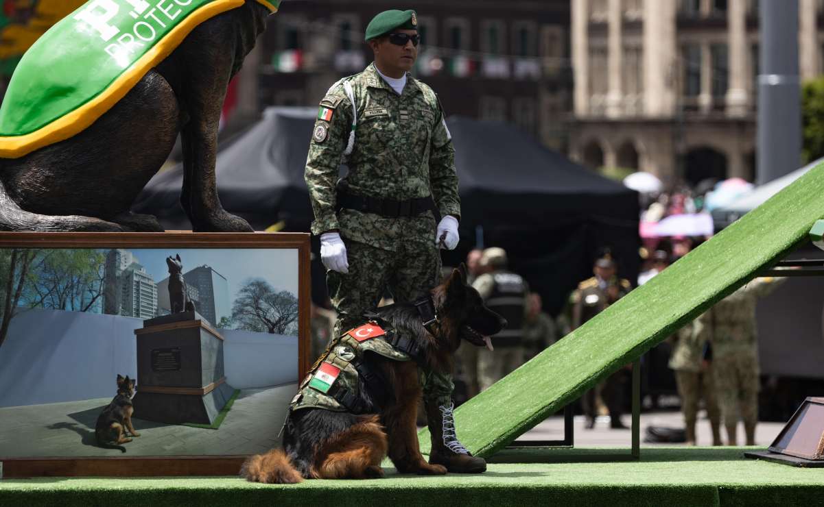 Senadora Carolina Viggiano propone reforma para que Guardia Nacional sea parte de la SSyPC