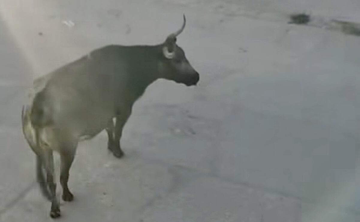 Estoy tranquilo, asegura Adán Augusto López