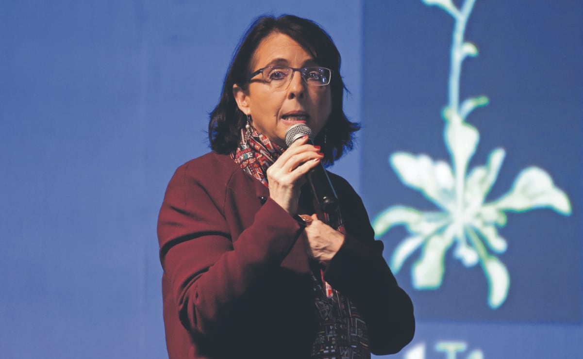 Diputados reprograman comparecencia de Ariadna Montiel; secretaria lo solicitó tras emergencia de lluvias 