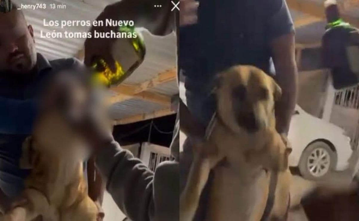 Notarias de Adán y amigos, vía para negocios jugosos