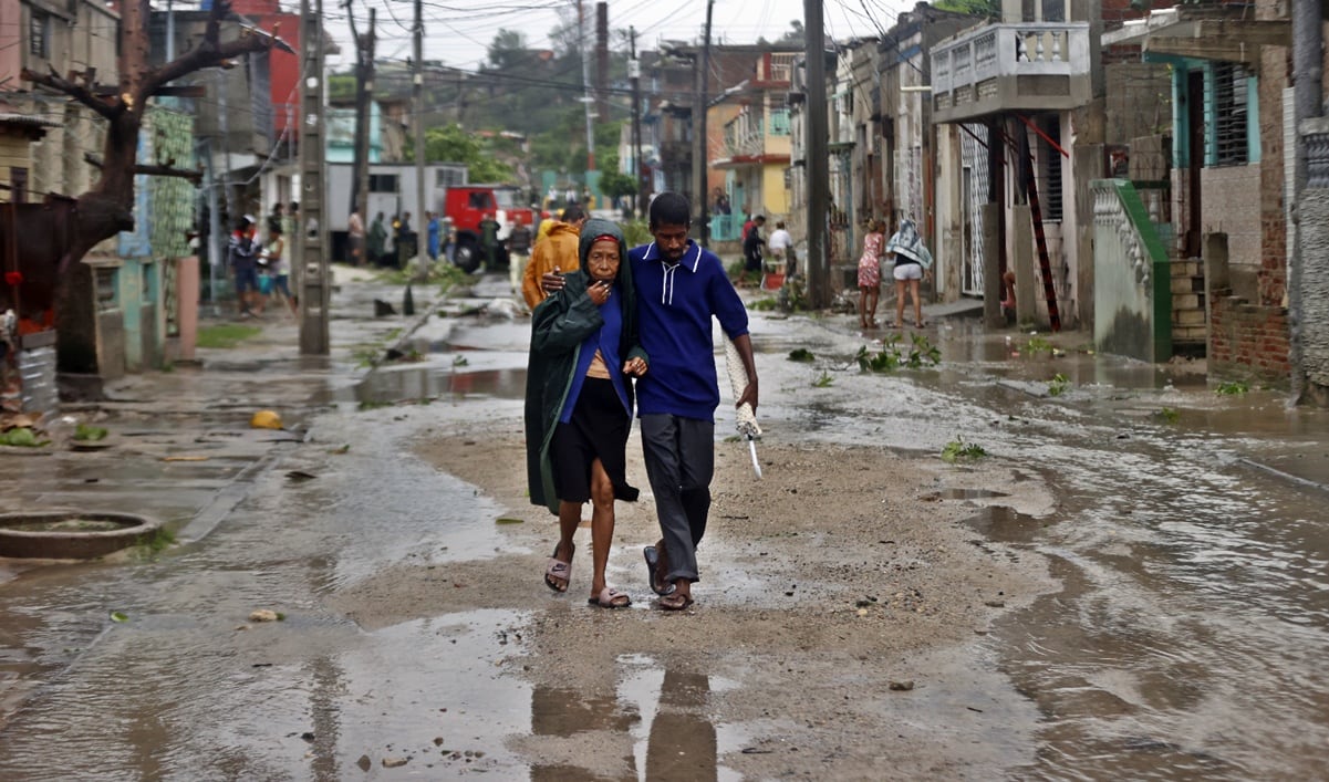 “El curado de cempasúchil inicia de pura chiripada”