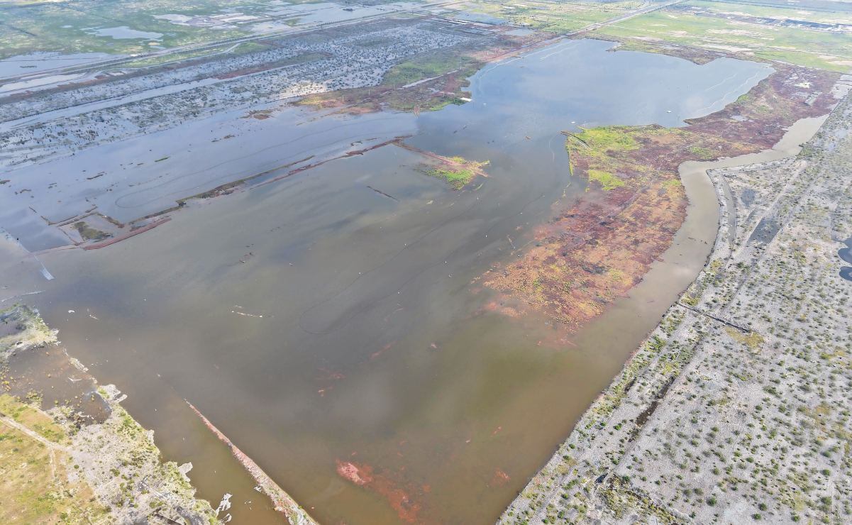 Raúl Jiménez aporta asistencia y Fulham vence al Wolves, exequipo del mexicano