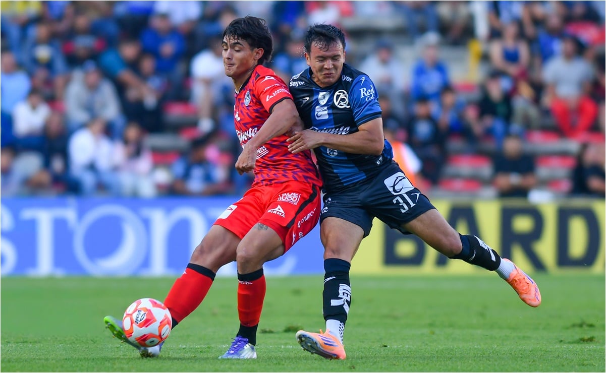 “Cada red que quitamos es una oportunidad para la vaquita”