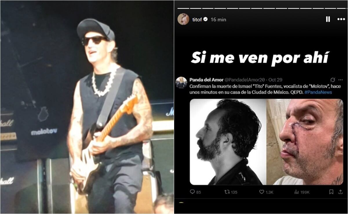 “Cada red que quitamos es una oportunidad para la vaquita”