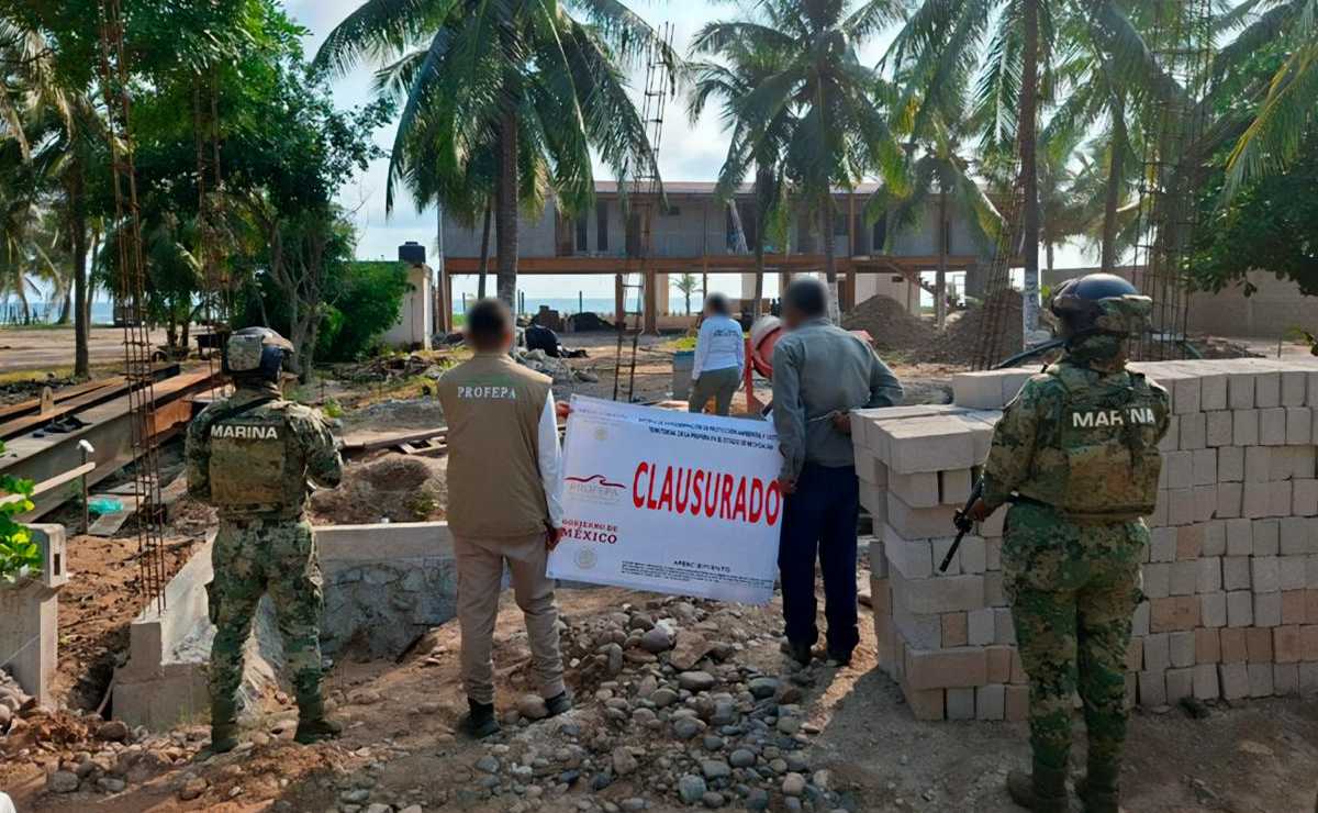 ¡Prepara la cobija de tigre!; se esperan heladas en al menos 10 estados, alerta el SMN