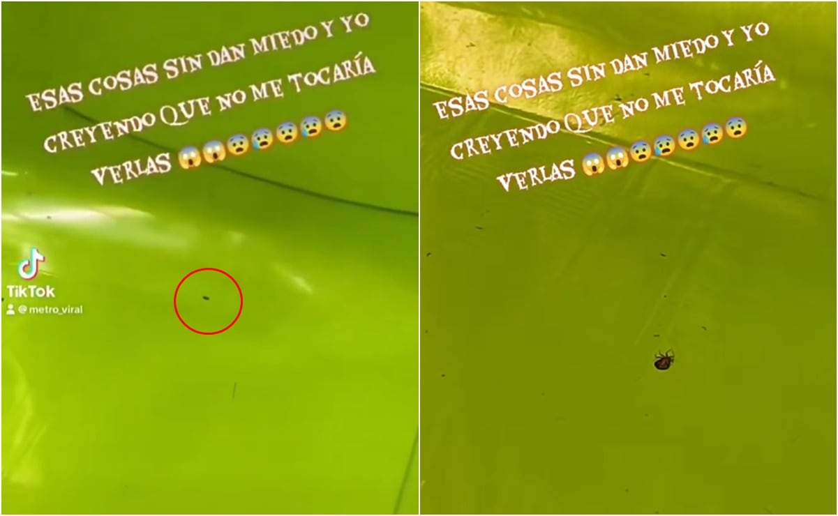 Receta: Cómo se hace el arroz a la mexicana 