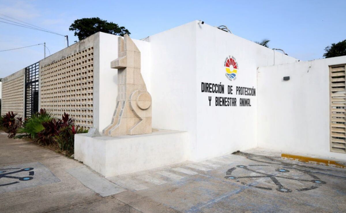 Aseguran celulares, drogas y objetos punzocortantes en penales de Culiacán y Los Mochis