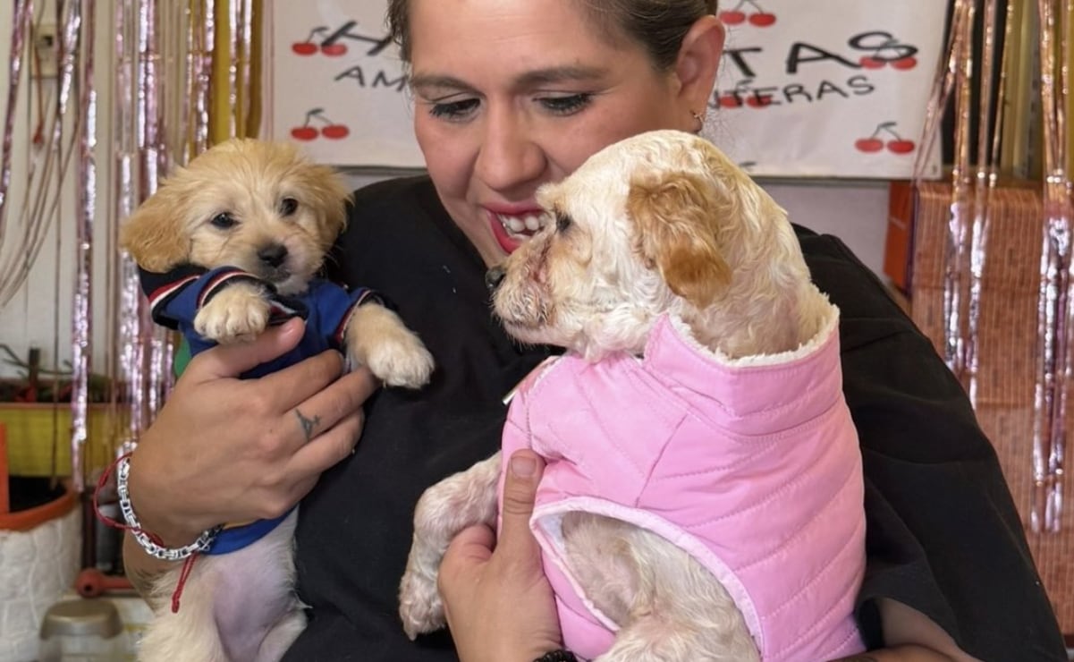 Canciller De la Fuente viaja a Colombia a Cumbre CELAC-UE; representa a Sheinbaum