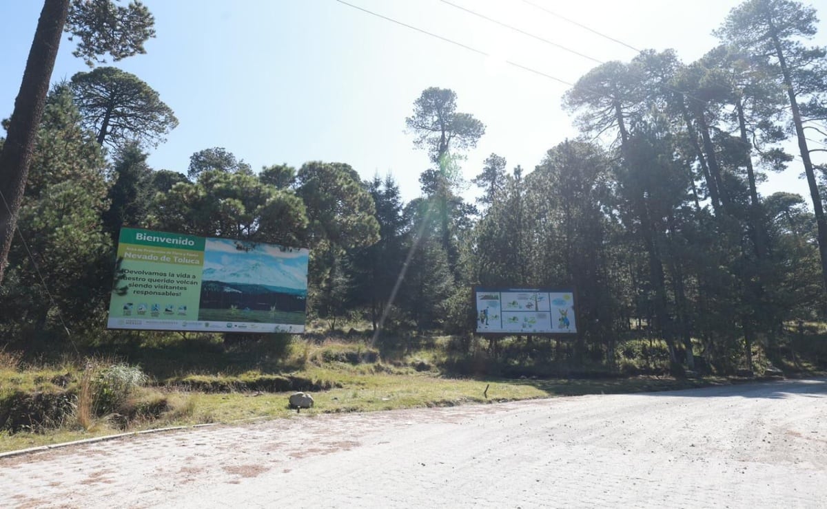 La mañanera de Sheinbaum, 10 de noviembre, minuto a minuto 