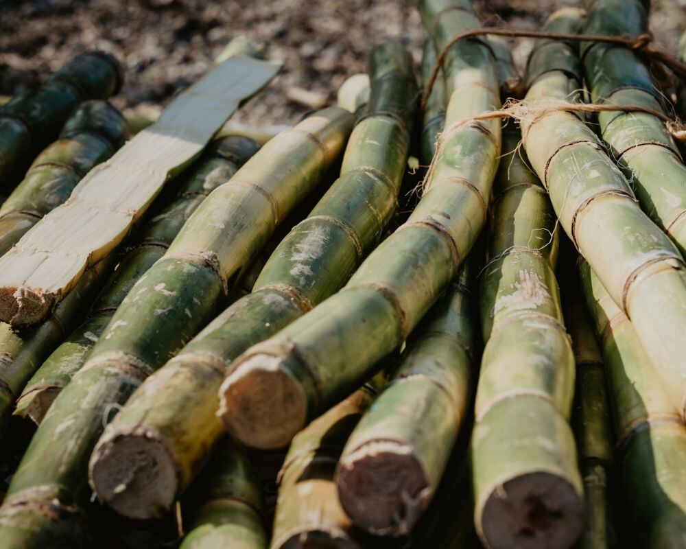 Italia investiga red de 