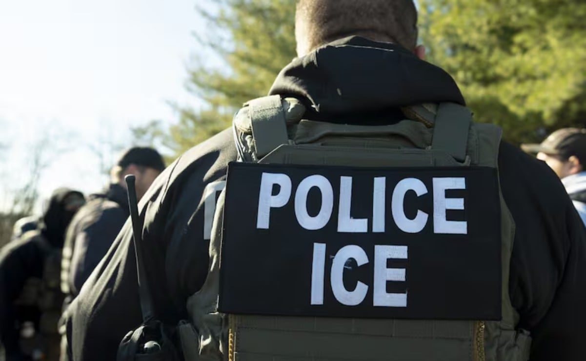 Las mejores compras para tu gato este Buen Fin 2025, según la IA