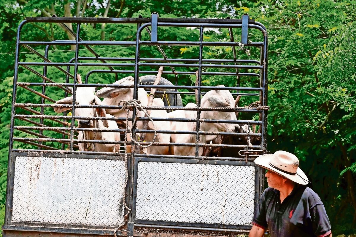 Paso del norte: mirada humana a la migración