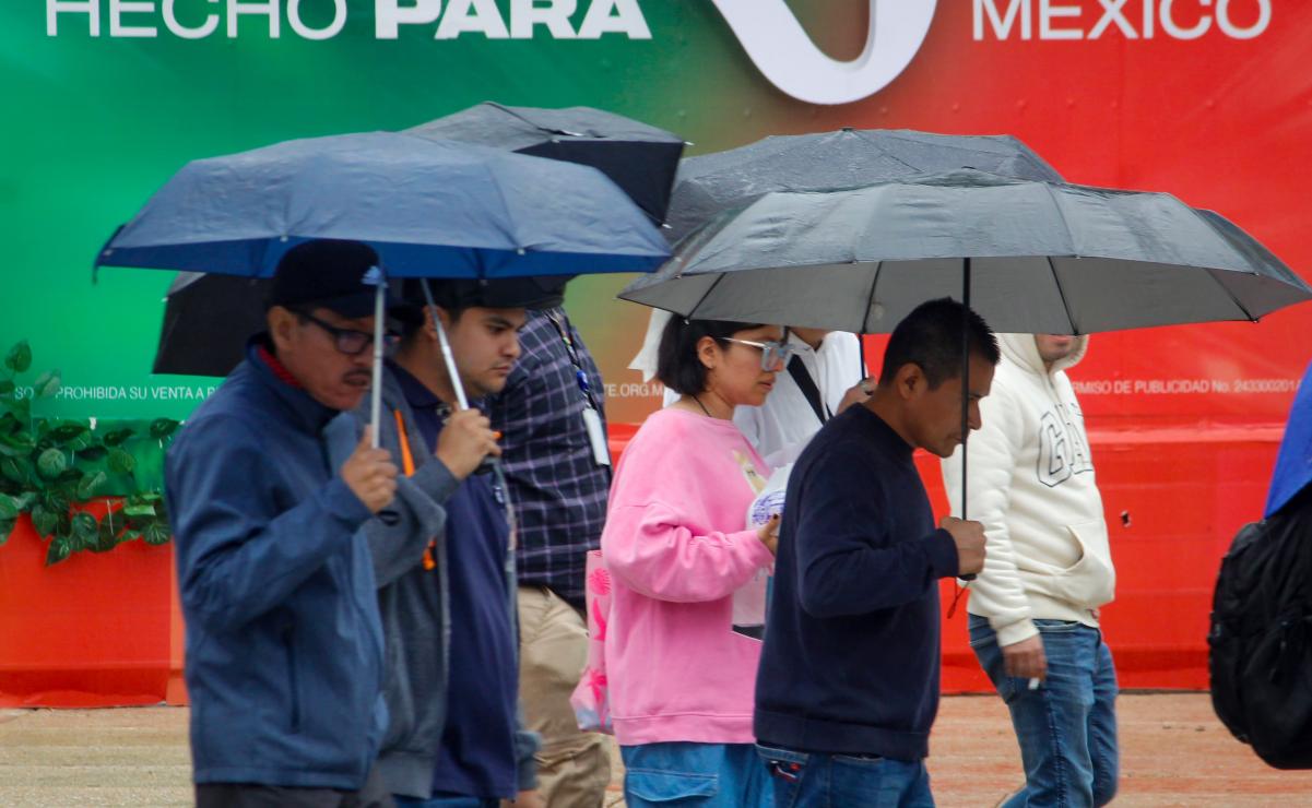 Fabricación de cerveza artesanal abre oportunidades de negocio y empleo en México; calculan alrededor de mil productores en el país