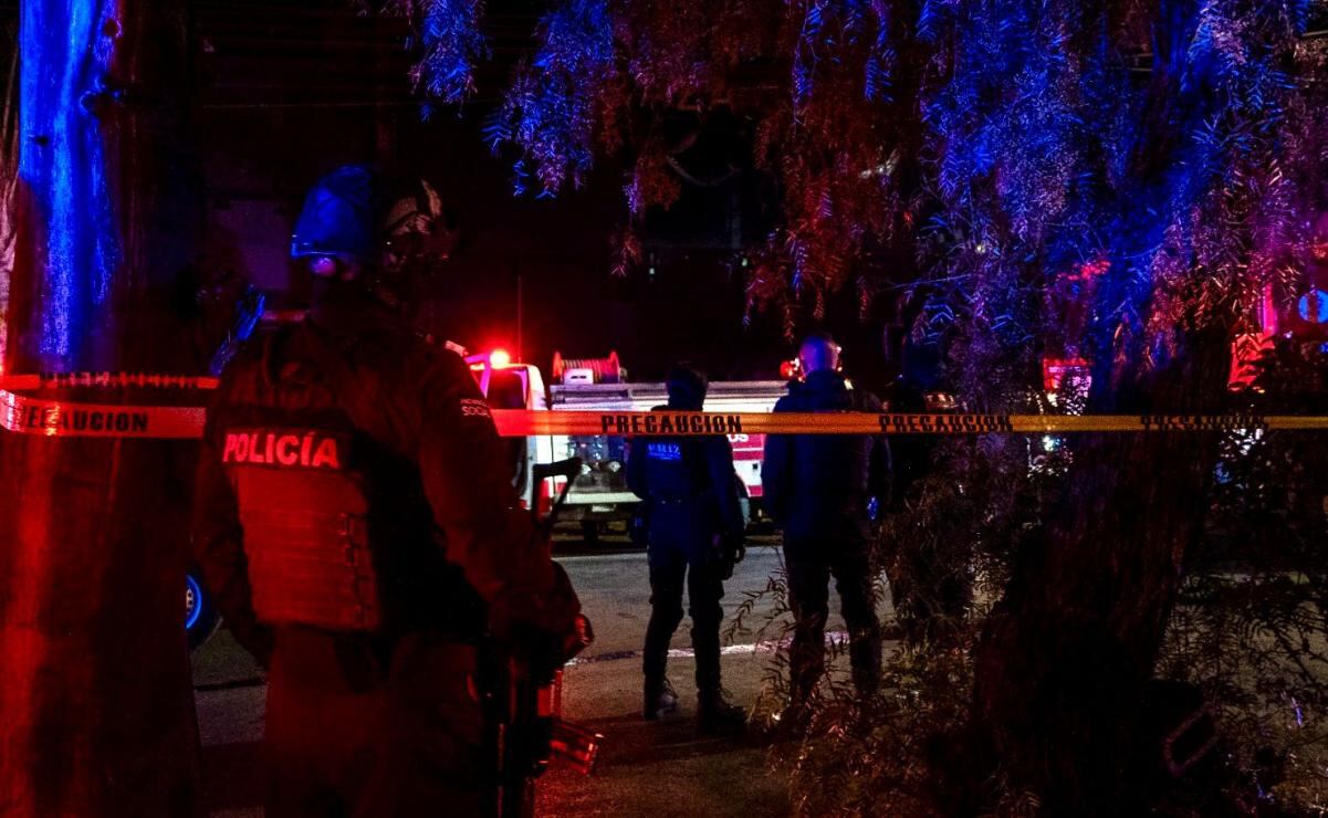 La hierba milenaria que ayuda a mejorar el comportamiento de los gatos; descubre su asombroso beneficio