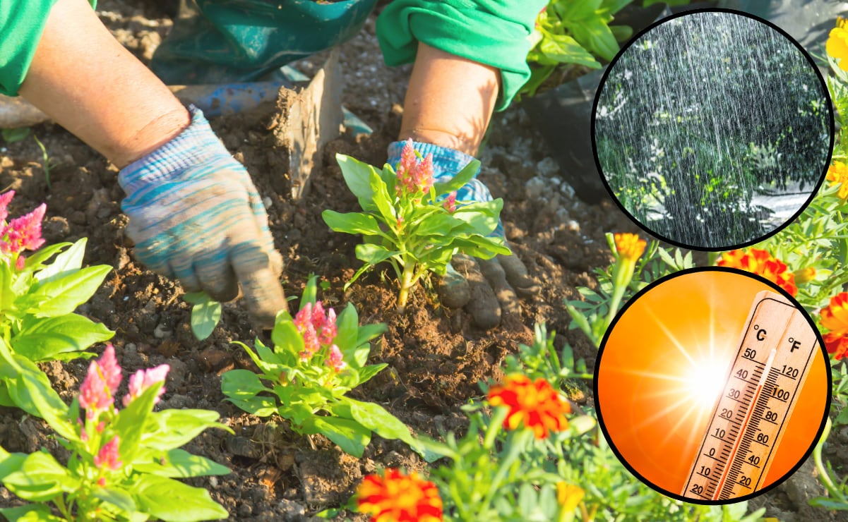 ¡De temporada! Frutas y verduras para comer en julio 