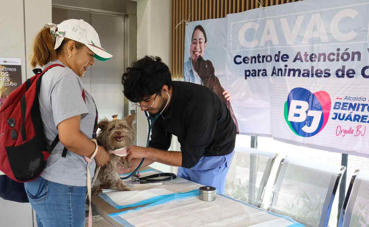 ¡Sin efectivo! Cómo pagar la caseta México - Pachuca