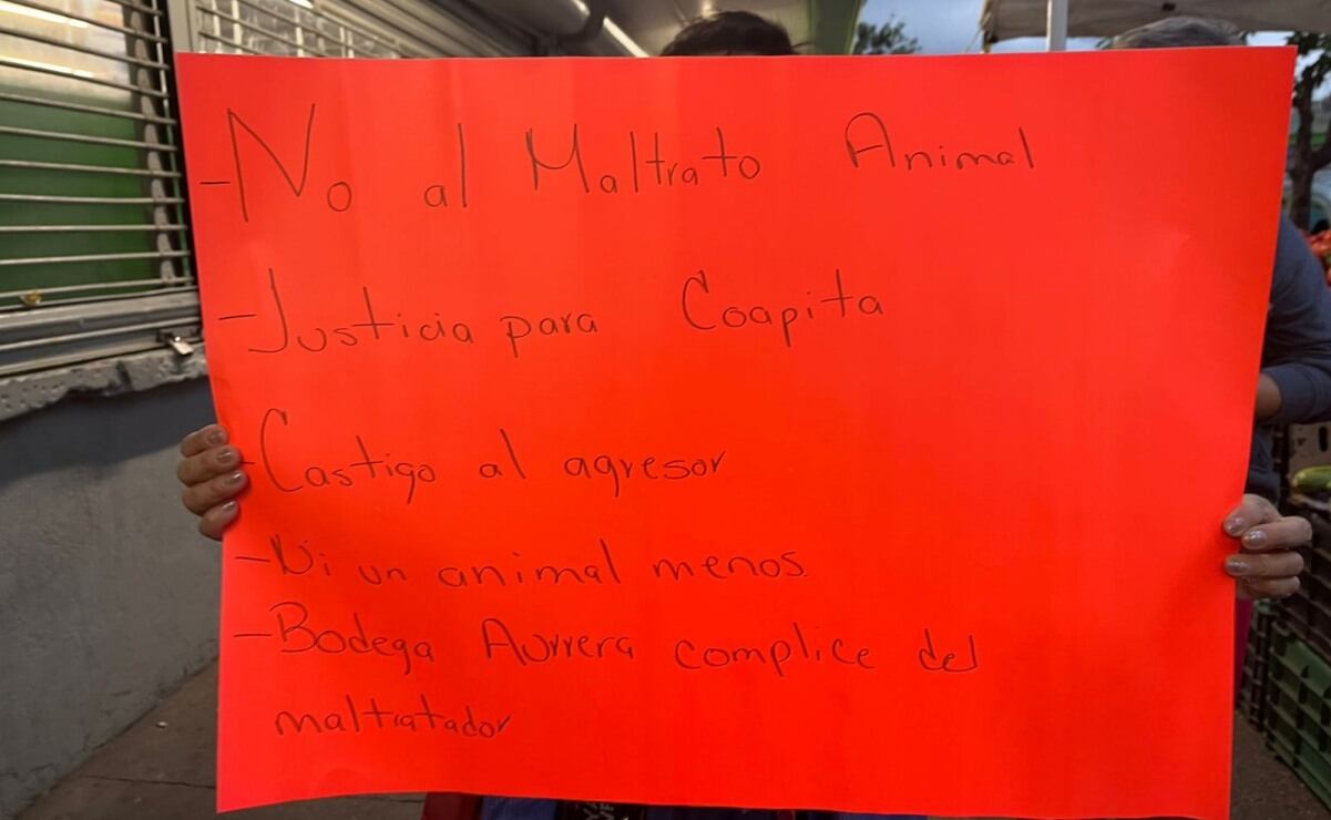 Artículo 19 pide a la CNDH promover amparo contra llamada 