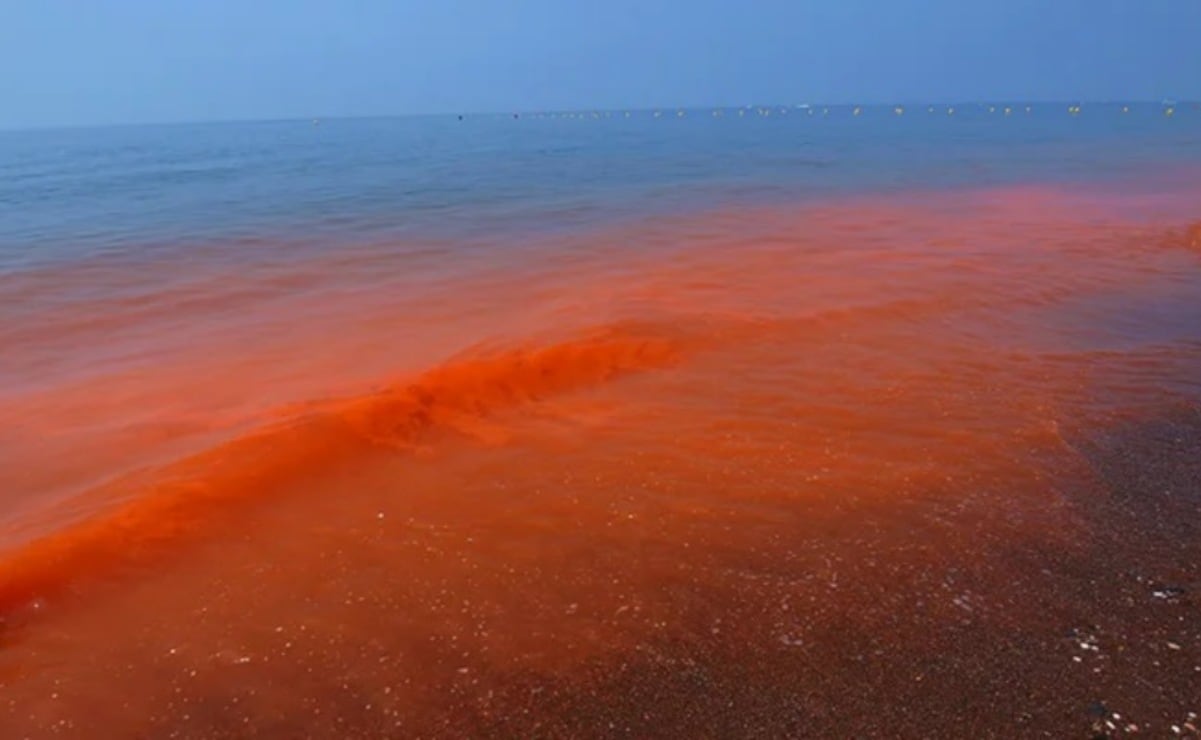 Esta es una de las playas más limpias de México
