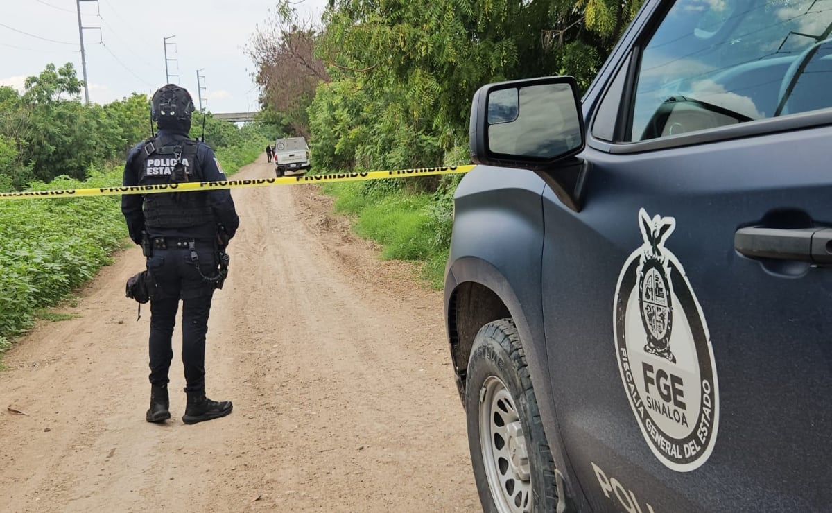 Rodrigo Pacheco se despide de dobles en el Abierto de Los Cabos; Nicolás Mejía sufre un fuerte golpe en la cabeza
