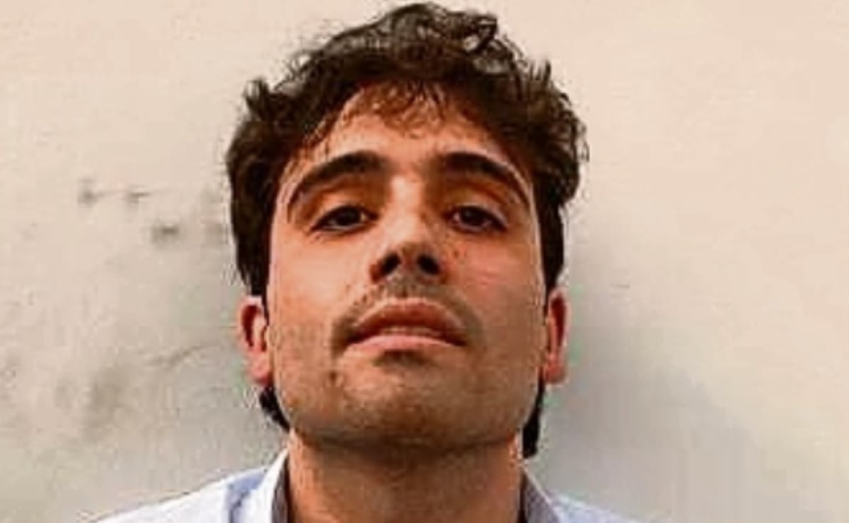 ¿Werevertumorro y Escorpión Dorado estafaron a Tania Rincón?; conductora lanza contundente mensaje