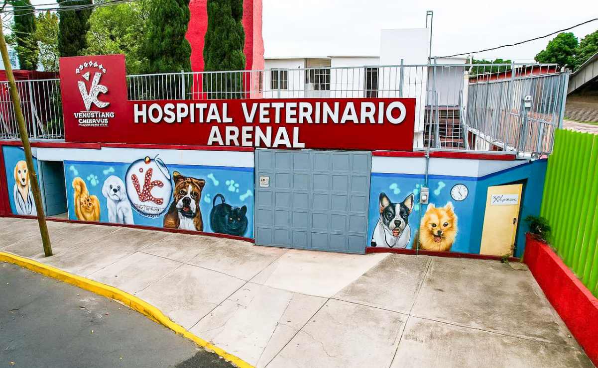 Apedrean oficinas de la CFE en Hunucmá, Yucatán; vecinos se quejan de constantes apagones