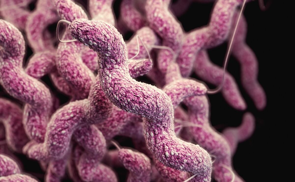 Suman 6 muertos tras brote de bacteria 